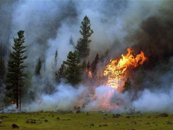 Wildfires in Washington: Highlighting the Role We All Play