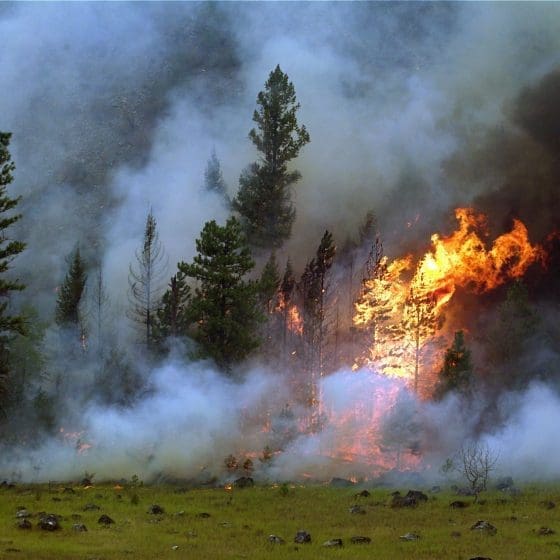 Wildfires in Washington: Highlighting the Role We All Play